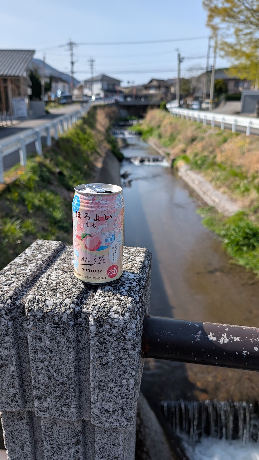 Another moment with Horoyoi Momo in Yufuin