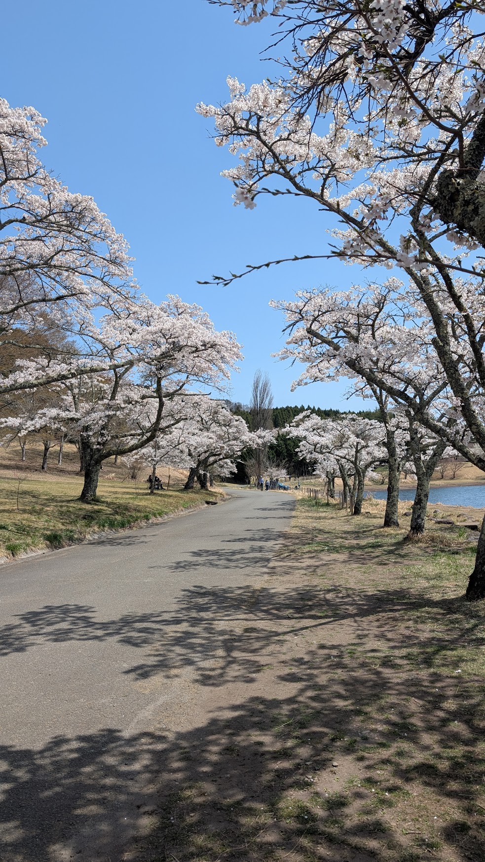 Shidaka Lake - View of the surrounding mountains