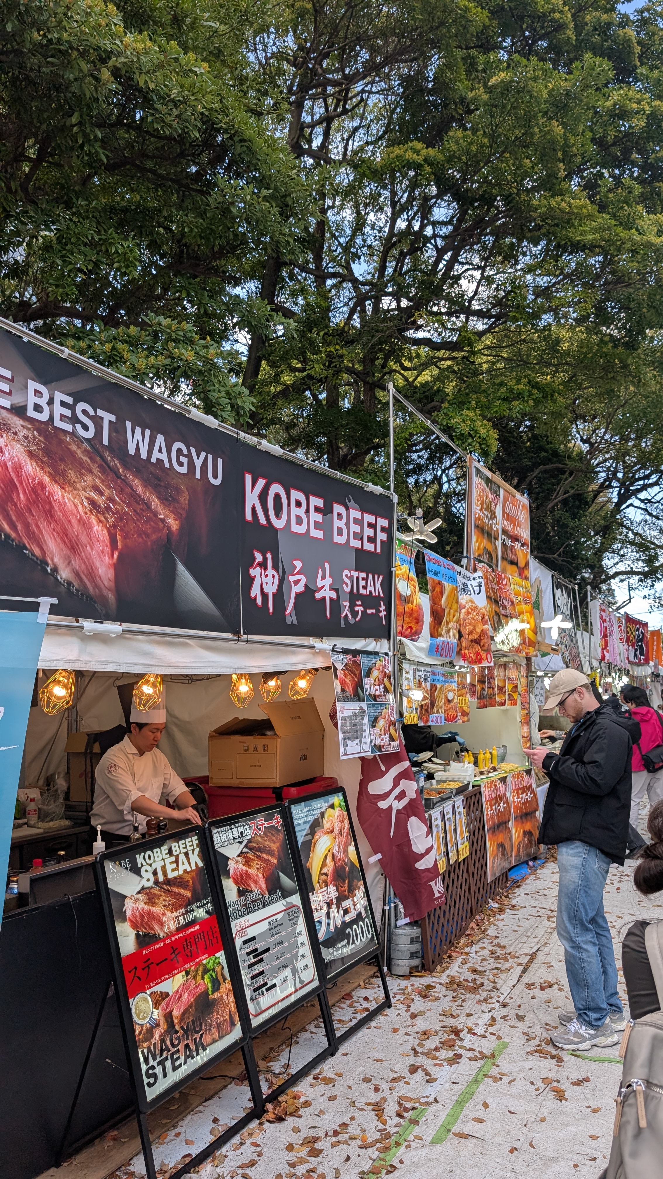 Cherry blossoms in Ueno Park - A view of the sakura-lined path