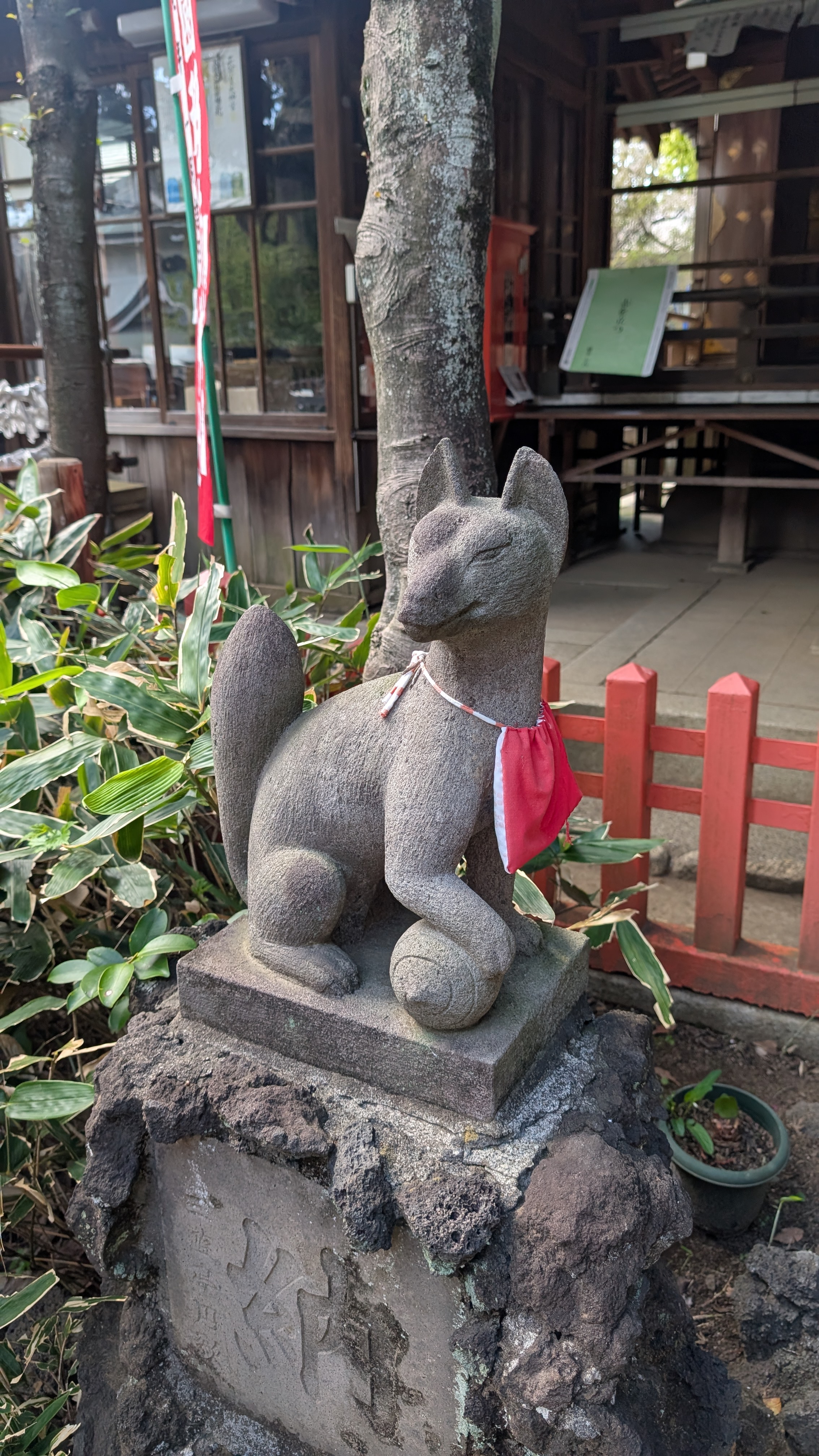 Cherry blossoms in Ueno Park - Visitors enjoying hanami under the trees