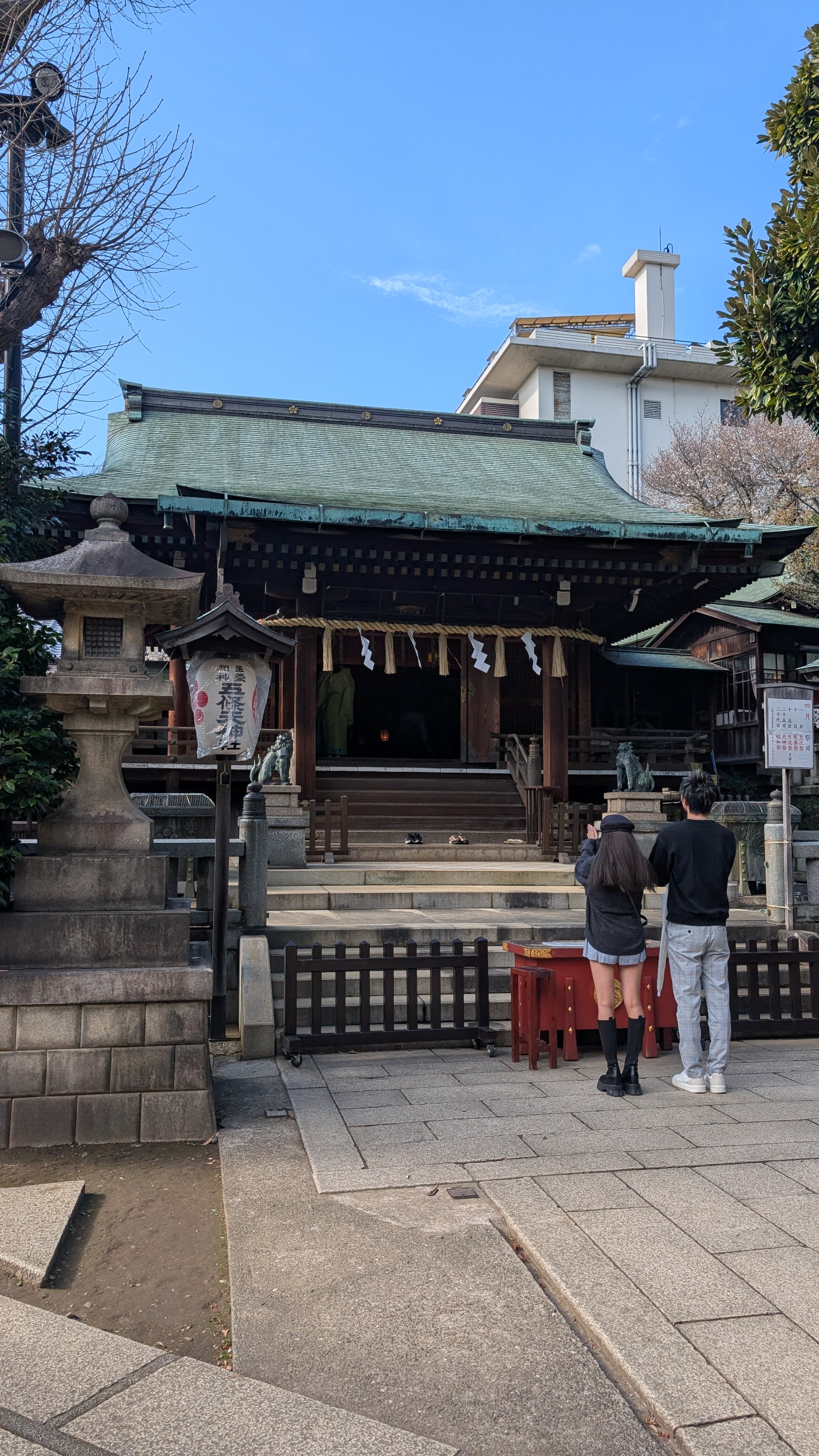 Cherry blossoms in Ueno Park - The park's iconic sakura view