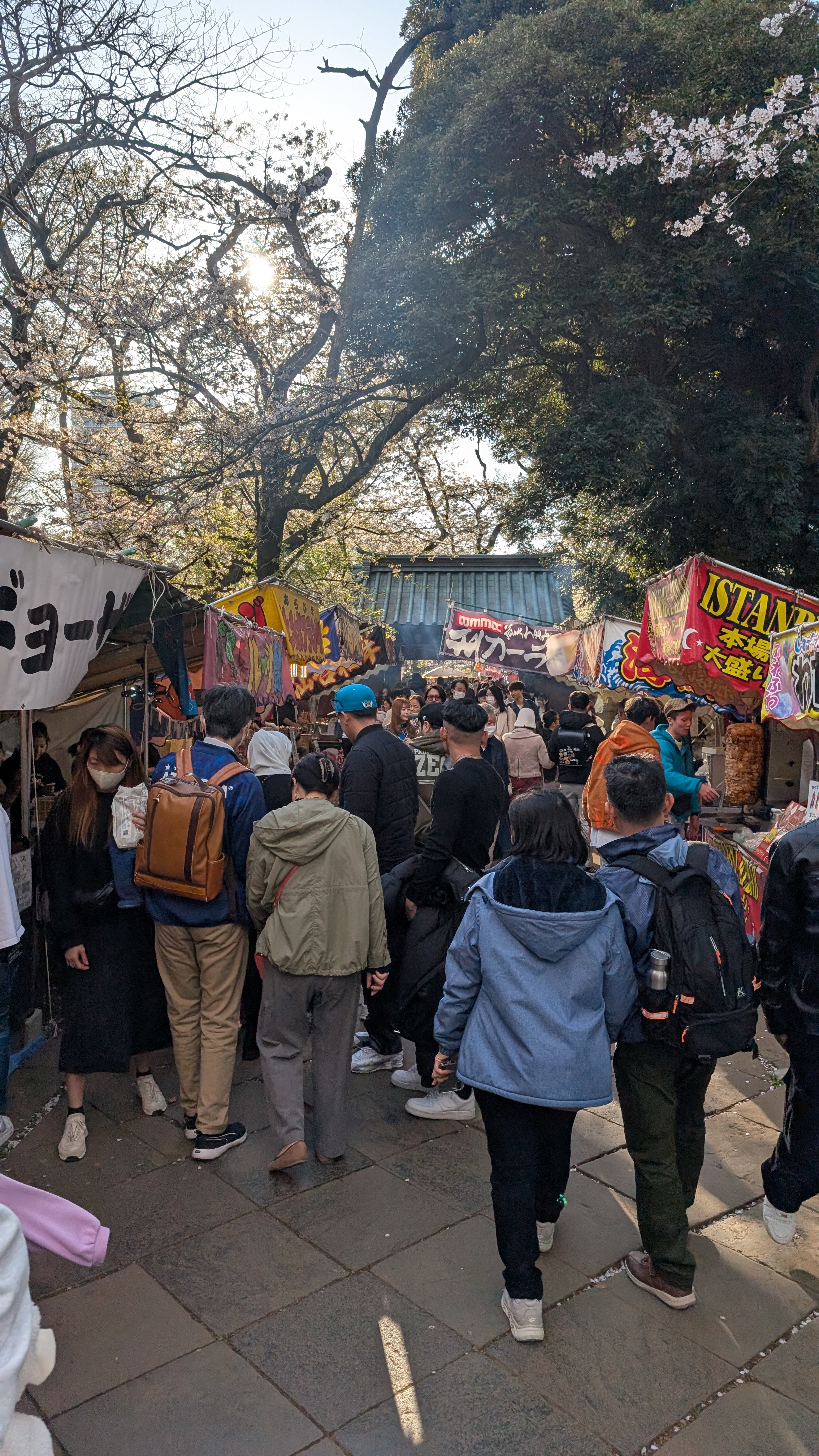 Cherry blossoms in Ueno Park - The park's bustling sakura scene