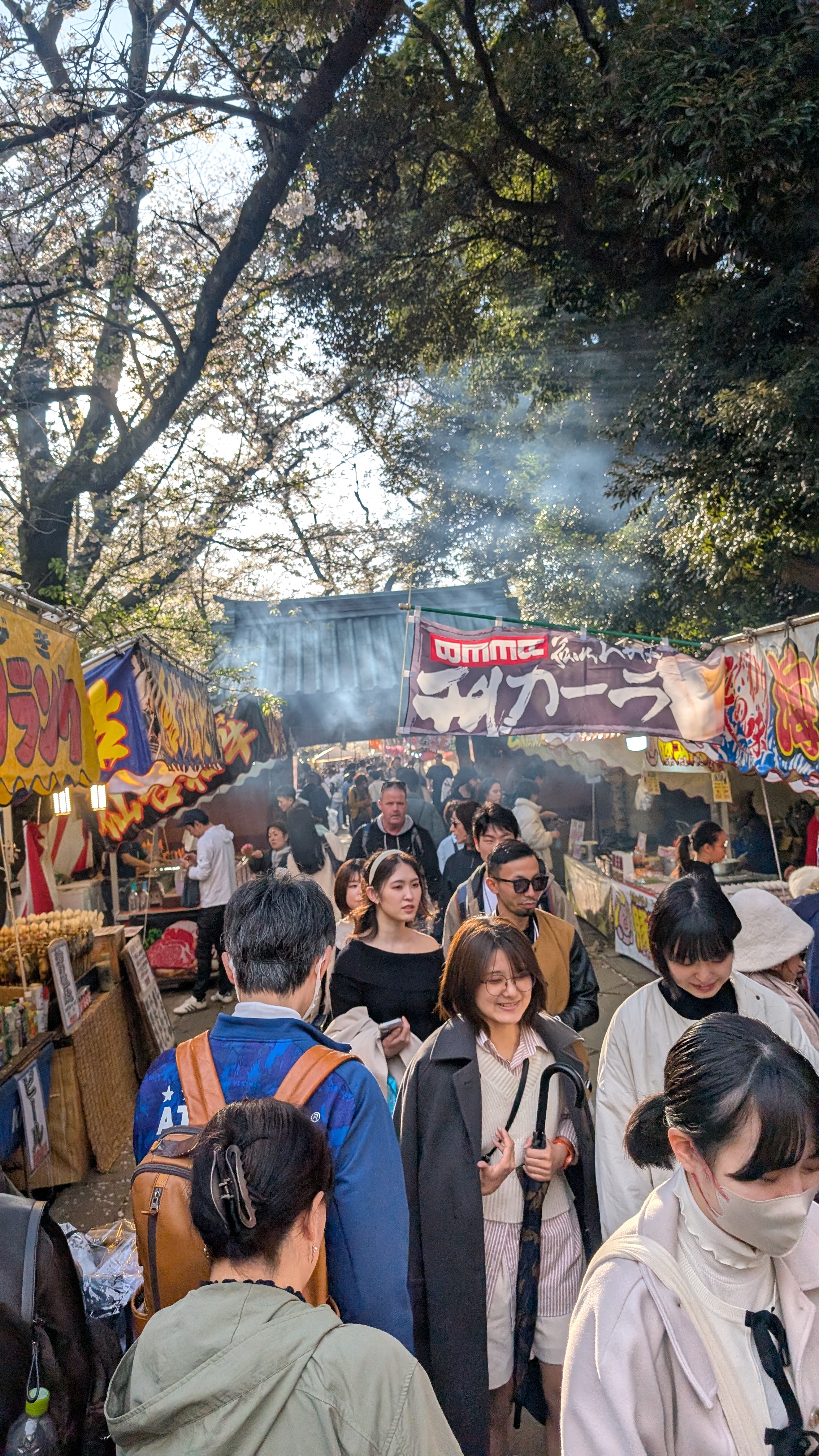 Cherry blossoms in Ueno Park - A quiet corner of sakura beauty